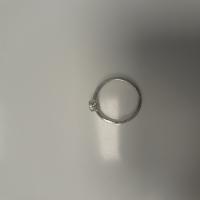 CS1396/2025 SILVER PANDORA RING